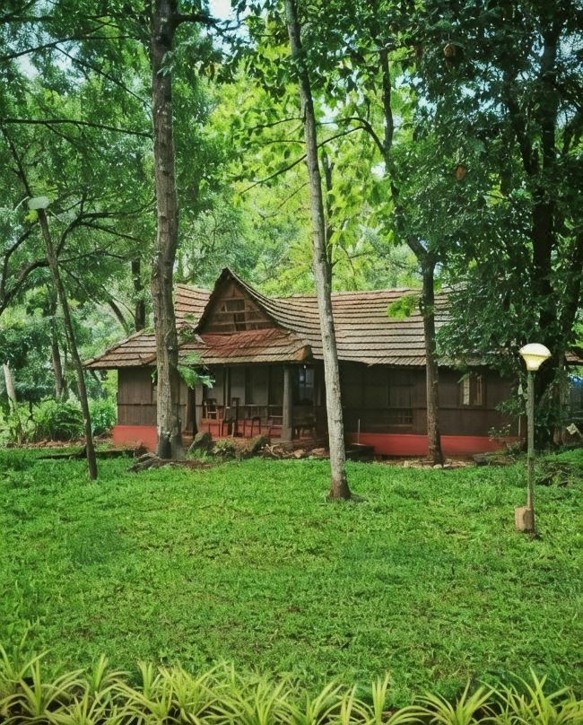 Second wooden cottage set among tall trees on the farm